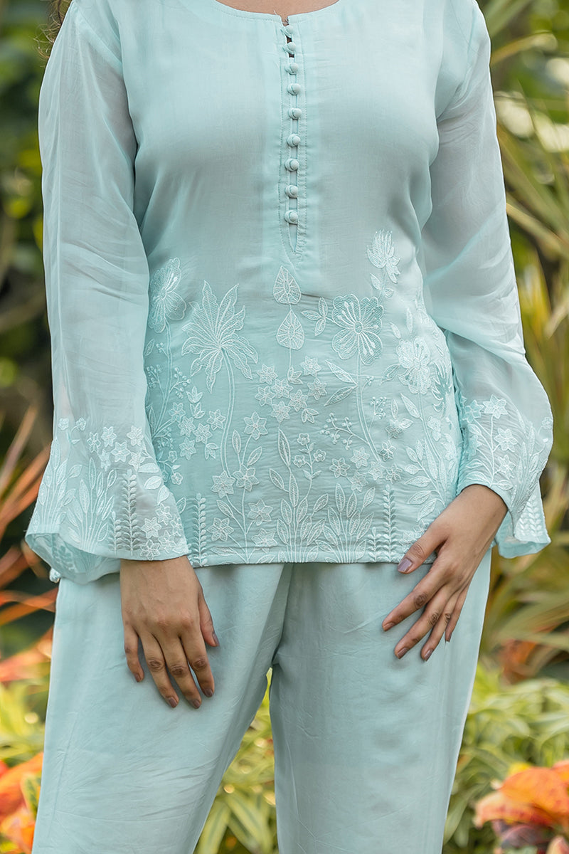 Sky Blue Embroidered top and pant set