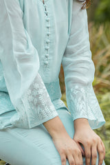 Sky Blue Embroidered top and pant set