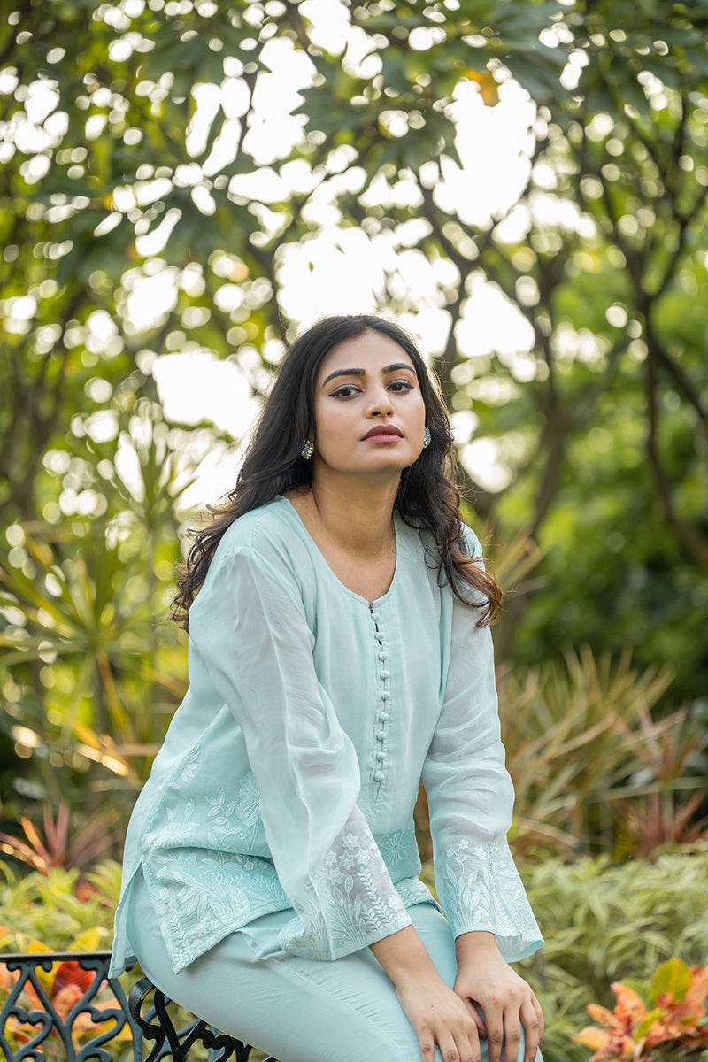 Sky Blue Embroidered top and pant set